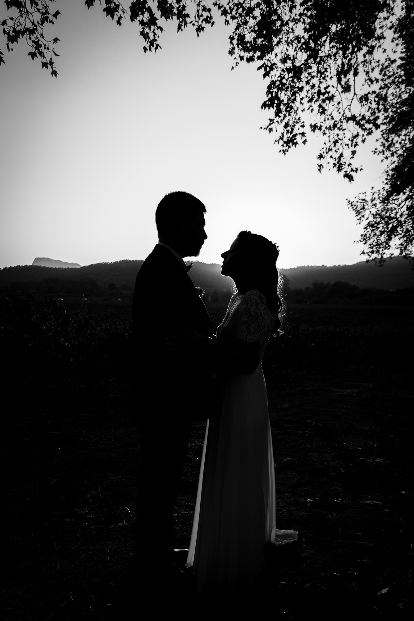 Photo d'un couple en silhouette lors d'un mariage dans le Var.